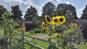 Lupin Glamping Pod - Image 2