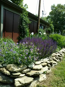 Bramble Cottage: 10 min from Asheville & Blk Mtn - Image 5
