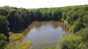 L'Orée du Bois du Parc & Château de Manou - Image 3
