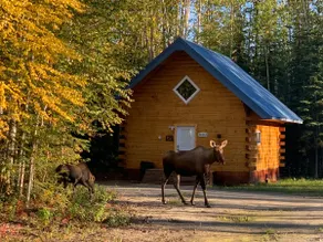 Moose Tracks Cabin in North Pole, Alaska - Image 3