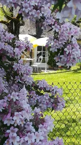 Le Cottage – Charming gîte in the Périgord Noir - Image 3
