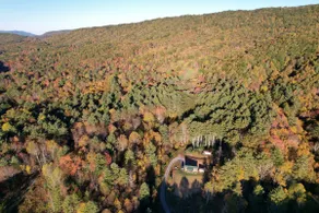 Cabin with tiny home - Image 3