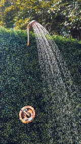 Sunny Days, Starry Nights | 10 Min to Beaches - Image 5