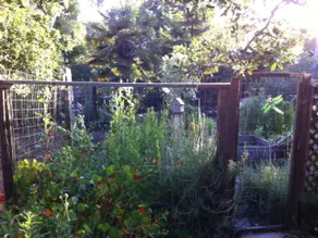Peaceful, private garden studio. - Image 4