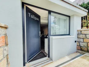 Tulipan - Image 3