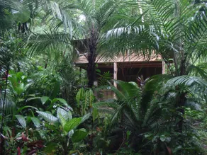 Duplex cabin in the jungle - Image 4