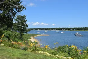 Rare End of August Opening - Image 4