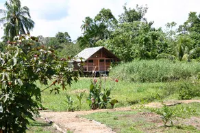 Boxel Boes Belanda, a private stay in a quiet park - Image 3