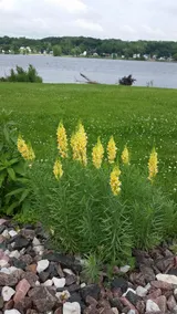 Old Mill House - (two bedroom) - on the river! - Image 5