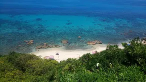 Villa with private descent to the sea (near Tropea) - Image 3