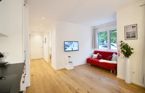 Modern apartment near downtown - Image 4