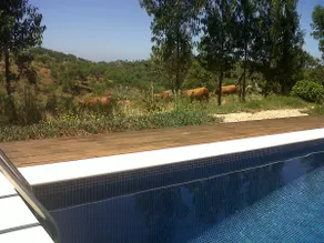 Alentejo Litoral - Total Privacy - Image 5