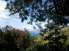 Villa Panayiota - Image 3