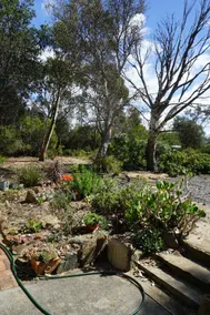 Dolphin Sands Beach Studio - Image 3