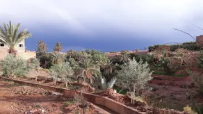 Dar Latifa - Image 2