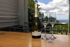 Panorama Suite | Ocean & Hinterland Views - Image 5
