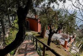 The Painter's House - Image 4