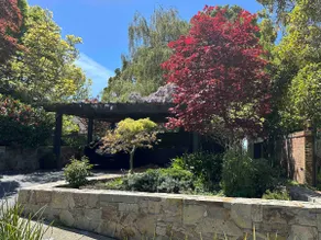 North Berkeley Hills Tranquil Writer's retreat - Image 4