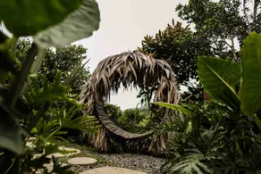 Maniwa (Forest) - Image 5