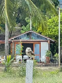 Marina das Corujas - Nature, charm and comfort. - Image 4