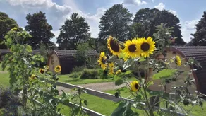 Mallow Glamping Pod - Image 2