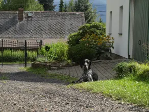 Mountain House LUFT Sneznik - Image 3