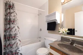 Private Guest Suite by the Ocean & Seymour Skiing - Image 4