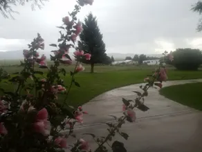 The Lazy Ass Ranch, The Guest House - Image 4