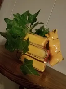 Studio Apt minutes from Downtown/Central Park - Image 4