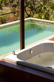 Ipê Amendoim Bathtub and pool with a view - Image 4