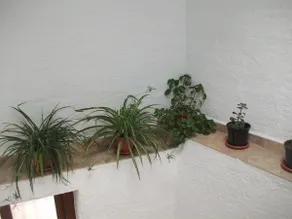 Rural townhouse - Image 5