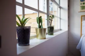 The Little Pink Guest Suite - Image 3