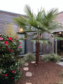 Beautiful single-storey villa with large Jacuzzi - Image 3