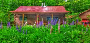 Mountains, Trails & Tails | Pet-Friendly Getaway - Image 2