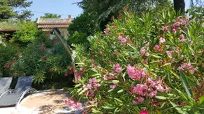 Dream of Provence: Villa with garden and pool - Image 3