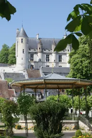 Charming cottage in the heart of a village in the Loches area. - Image 2