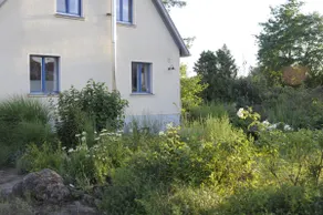Guest apartment in the countryside on the outskirts of Weimar - Image 5