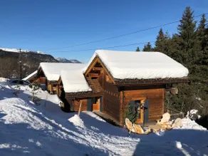 Chalet de l'Ours, 4 étoiles, avec spa et proche des pistes - Image 2