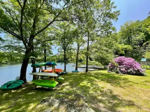 Twin Lakes Designer A-frame Stone Cottage - Image 5