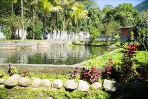 Paradise in the Atlantic Forest with waterfall and lake - Image 5