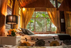 PRIVATE CABAÑA WITH BREAKFAST - Image 3