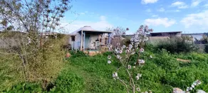 Mountain view yurt כליל - Image 2