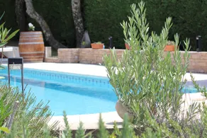 House / Villa - Pont Saint Esprit - Image 5