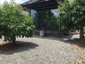 Our home, between avocados and hills - Image 4