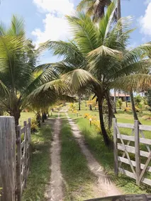 Beach house on the sand. Excellent family vacation. - Image 4