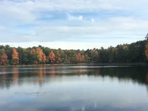 Amy’s lake house - Image 3