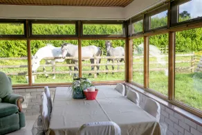 A Special Space in a Magical Place - Image 3