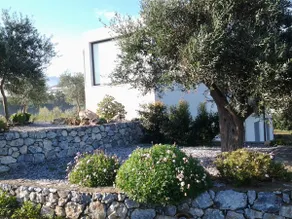 Twin Villas - Image 3