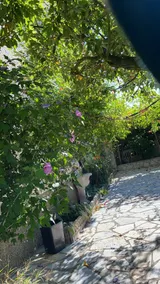 ”Nel Verde” Apartment - Image 2