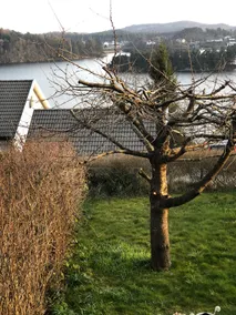 Apartment with great view- Monestopen - Image 2